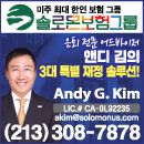 솔로몬종합보험(#92210106)